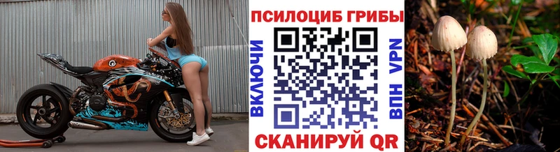 Псилоцибиновые грибы Psilocybe  MEGA ссылки  Миллерово  купить закладку 